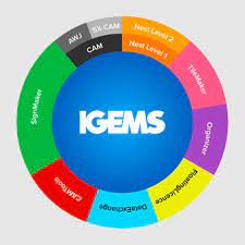 IGEMS